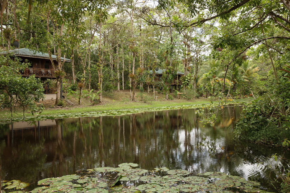 Lodges at Hacienda Jacana, Trinidad.