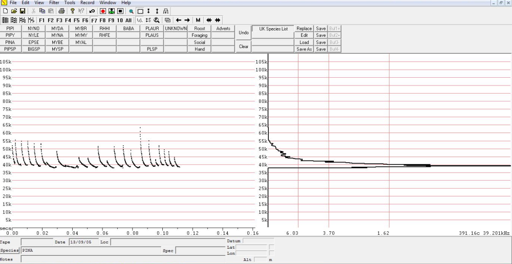 Nathusius' Pipistrelle echolocation calls (Analook f7 compressed freq and cycles), Bat House. 2013