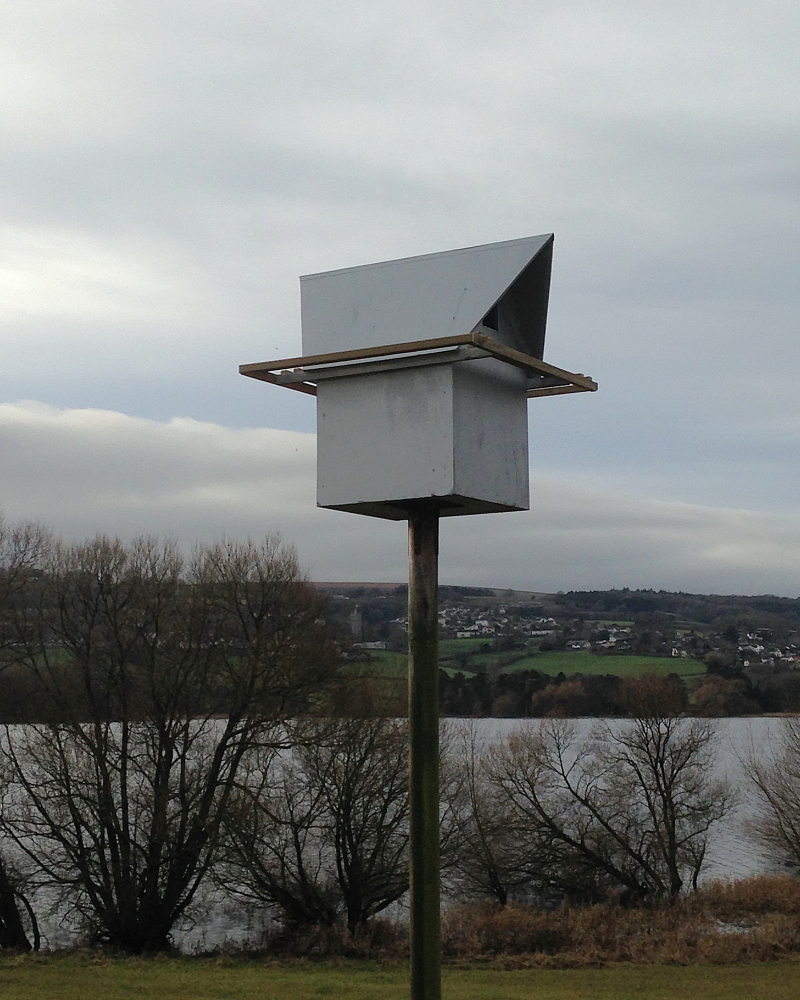 North Shore Owl Box.