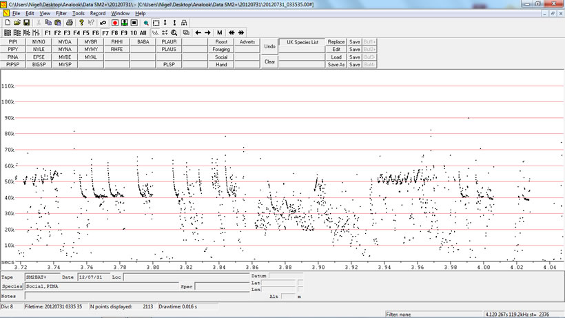 Nathusius' Pipistrelle advertisement calls (Analook f7 compressed frequency only), Bat House. 2013.