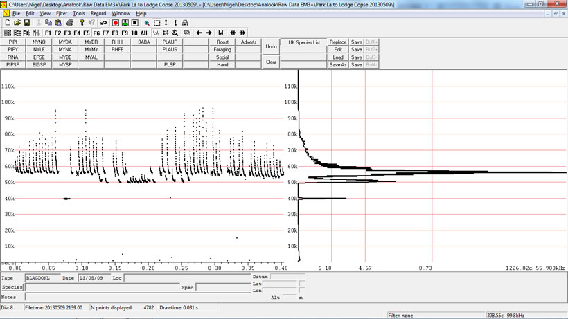 Soprano Pipistrelle echolocation calls (Analook f6 frequency & cycles).